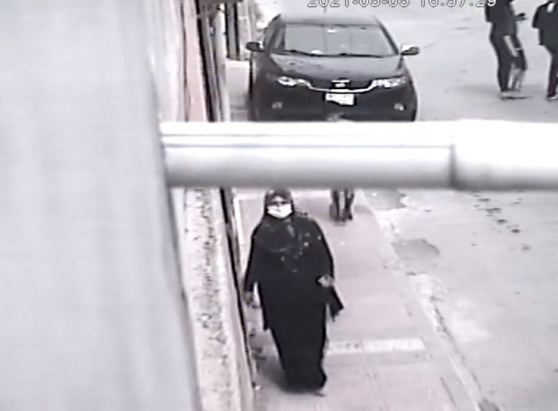 Mersin’de evlere dadanan kadın hırsız yakalandı
